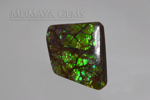 Iridescent Green Ammolite Gemstone 28.24 ct freeform Cabochon 