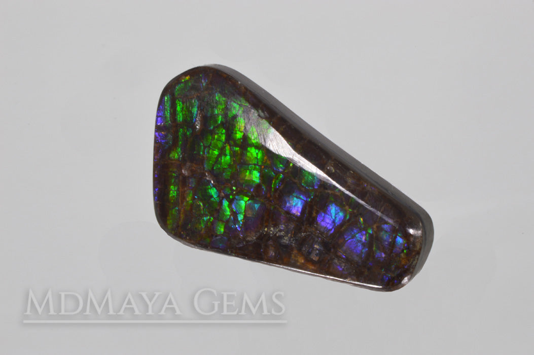 Canadian Ammolite Stone 29 31 ct