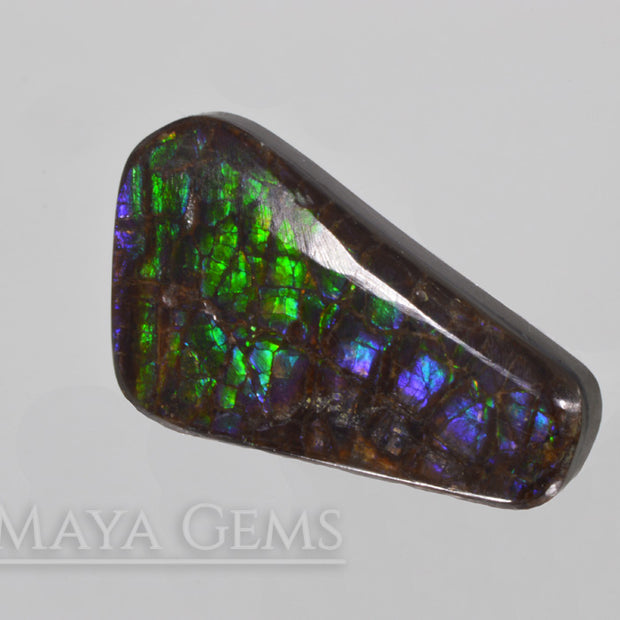 Canadian Ammolite Stone 29 31 ct