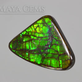 Green Dragonskin Iridescent Canadian Ammolite of 35.53 ct