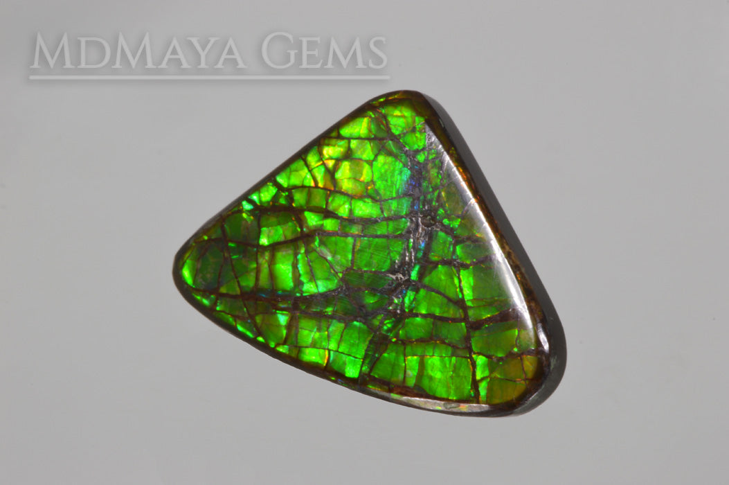 Green Dragonskin Iridescent Canadian Ammolite of 35.53 ct