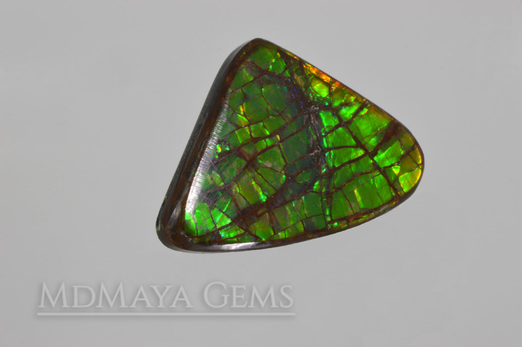 Green Dragonskin Iridescent Canadian Ammolite of 35.53 ct