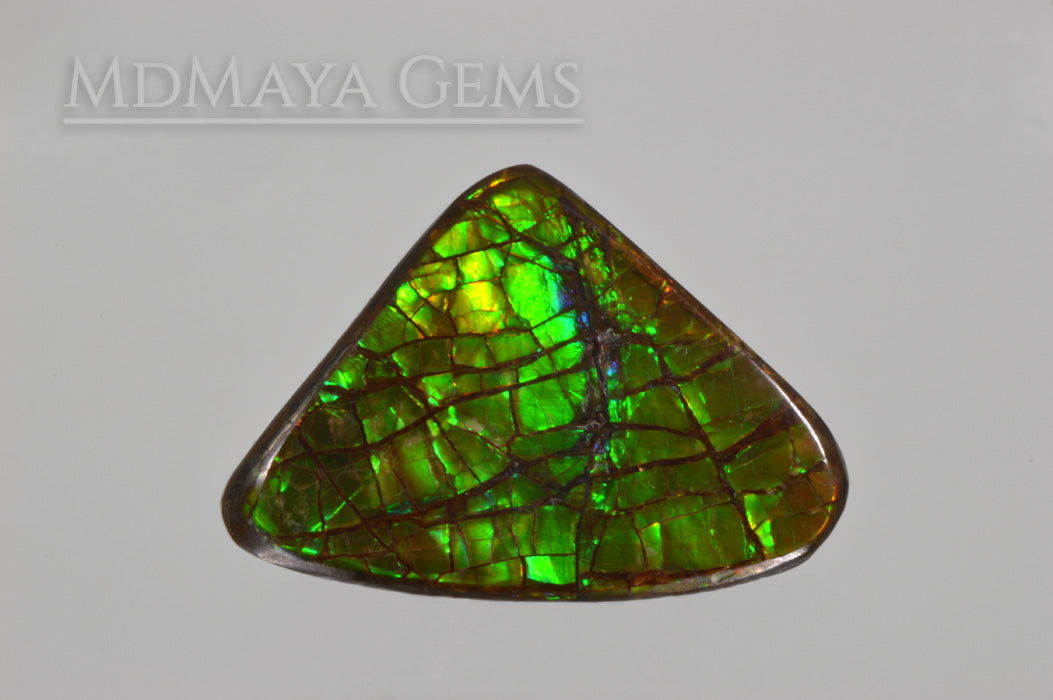 Green Dragonskin Iridescent Canadian Ammolite of 35.53 ct