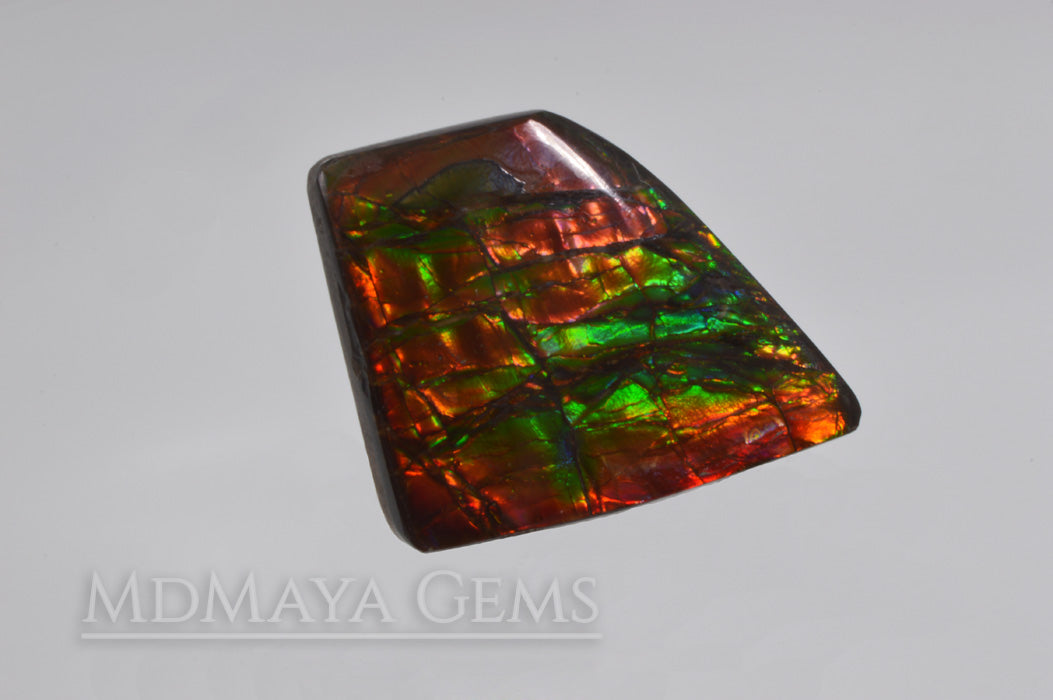 Big rainbow excellent colors Ammolite Stone 36.26 ct from Canada. 