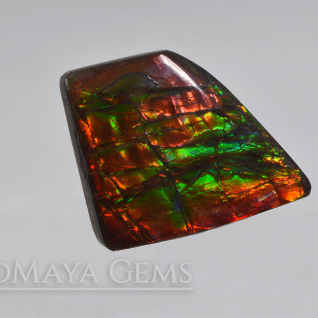 Big rainbow excellent colors Ammolite Stone 36.26 ct from Canada. 