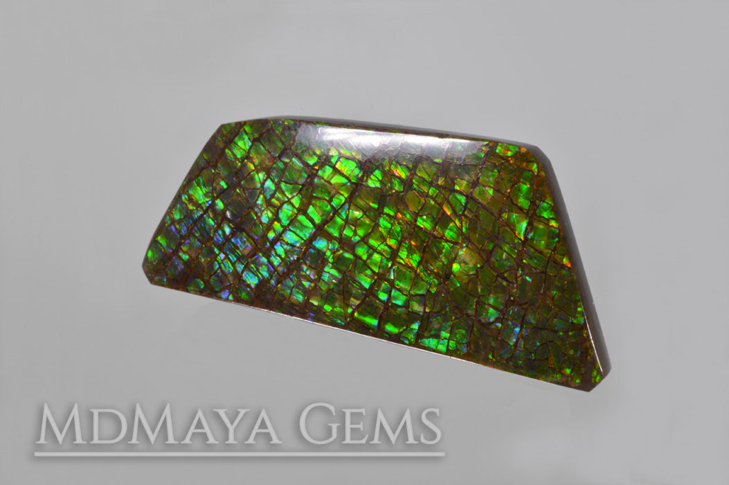 Green Ammolite freeform Cabochon of 37.17 carat from Canada, 40.81 * 18.92 * 4.05 mm, perfect loose gem for jewelry.