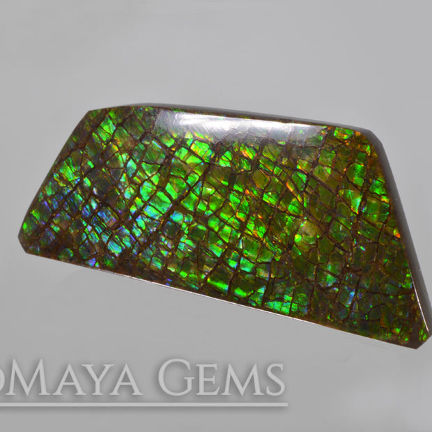 Green Ammolite freeform Cabochon of 37.17 carat from Canada, 40.81 * 18.92 * 4.05 mm, perfect loose gem for jewelry.