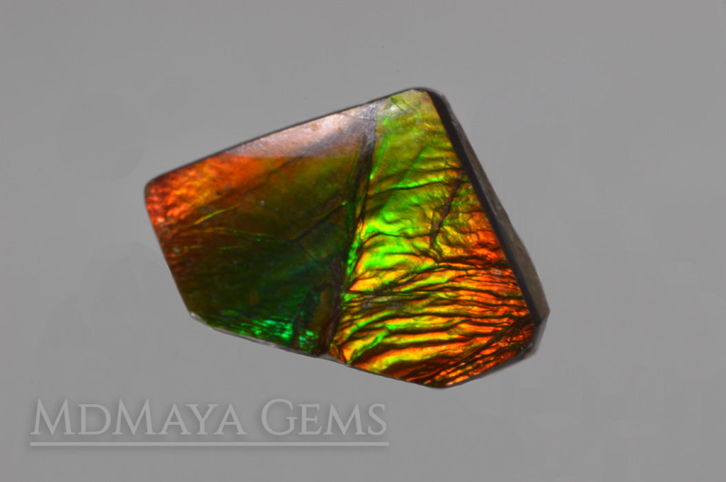 27.90 Cts Natural Ammolite 8 popular Pcs Lot Loose Cabochon Gemstone EA18