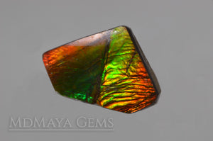 Natural Multicolour Ammolite Gemstone 8.15 carat