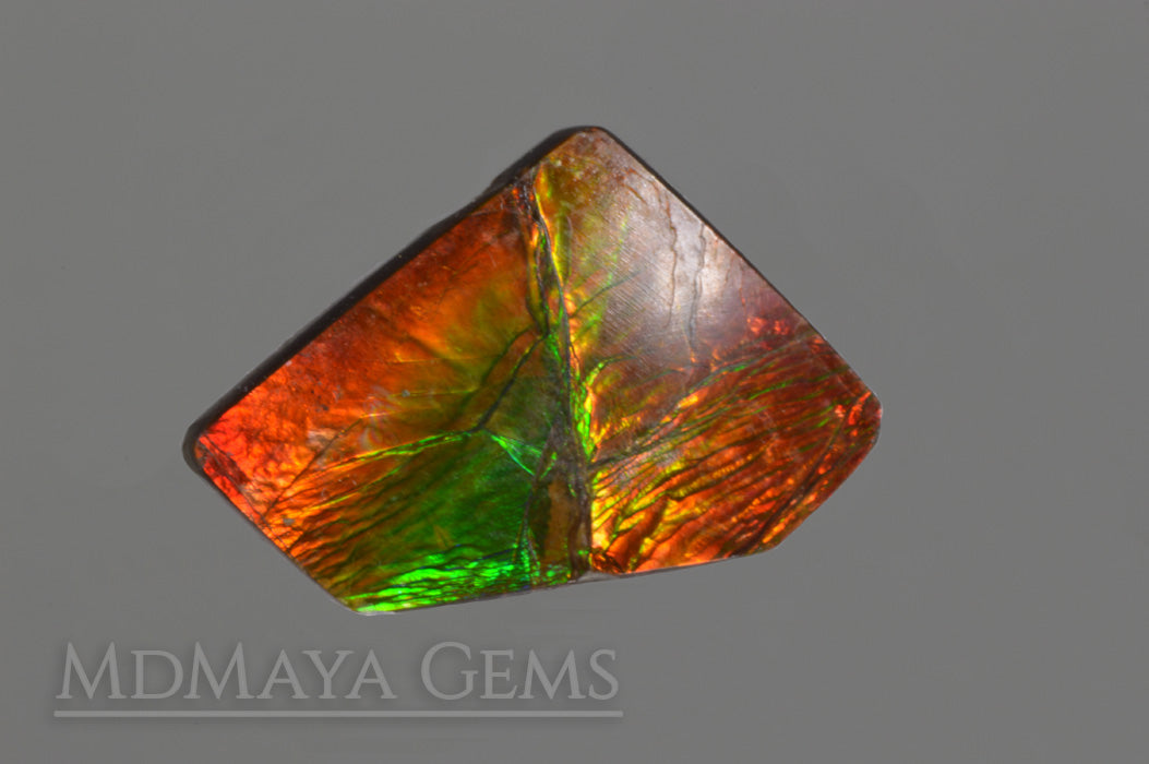 Natural Multicolour Ammolite Gemstone 8.15 carat