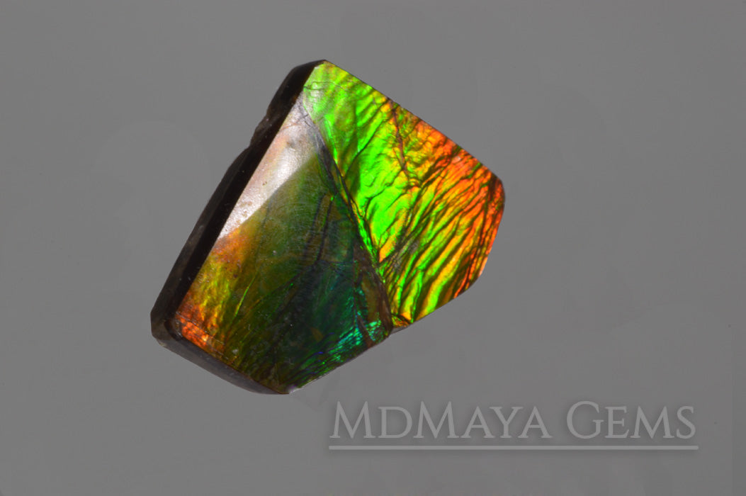 Natural Multicolour Ammolite Gemstone 8.15 carat
