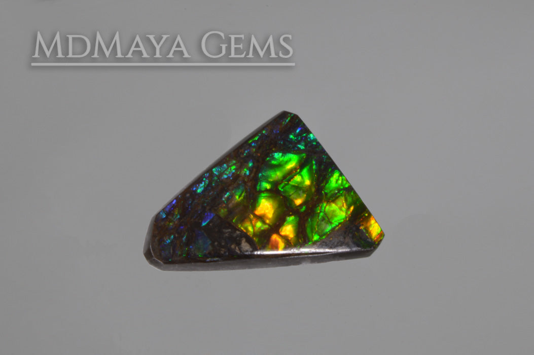 Multicolour Ammolite freeform Cabochon of 9.89 carat 