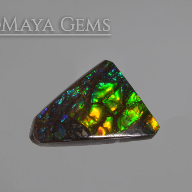 Multicolour Ammolite freeform Cabochon of 9.89 carat 