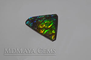 Multicolour Ammolite freeform Cabochon of 9.89 carat 
