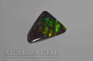 Multicolour Ammolite freeform Cabochon of 9.89 carat 