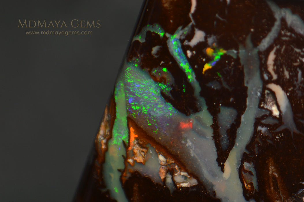 Boulder Opal 11.09 ct from Australia under microscope