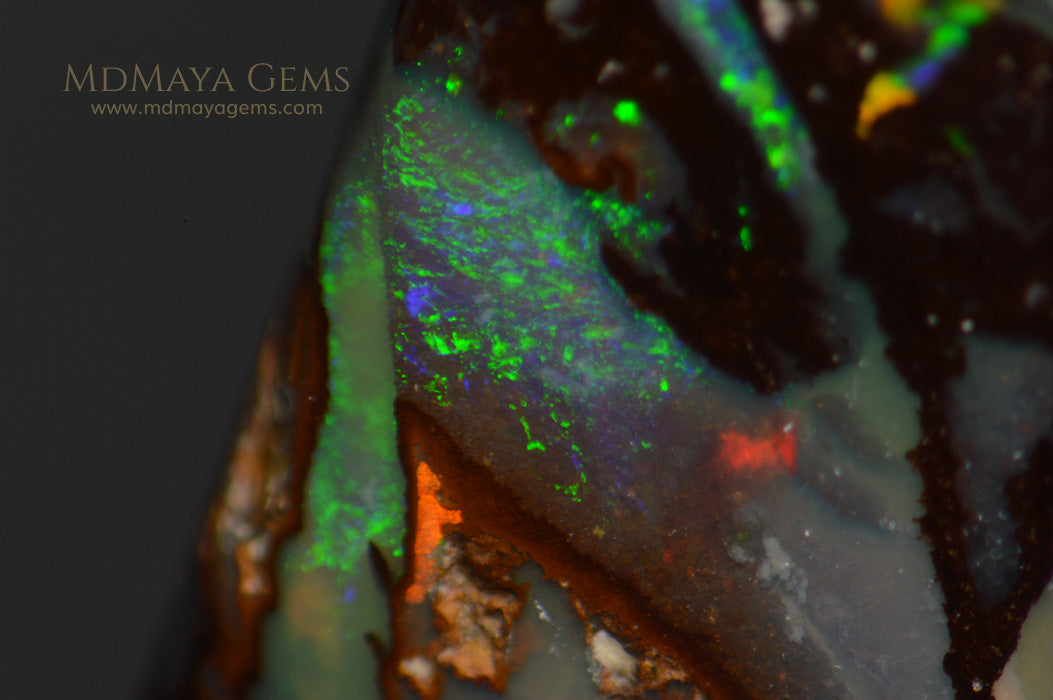 Boulder Opal 11.09 ct from Australia under microscope