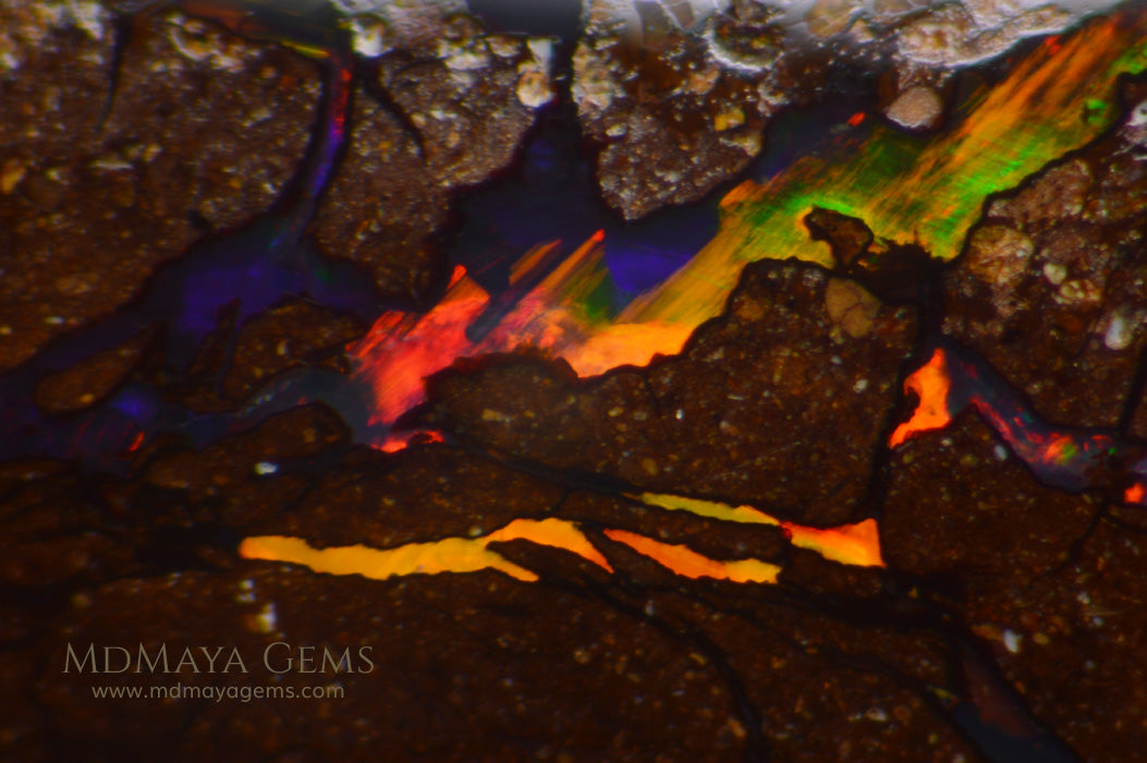 Australian Solid Matrix Boulder Opal 3.06 ct under microscope