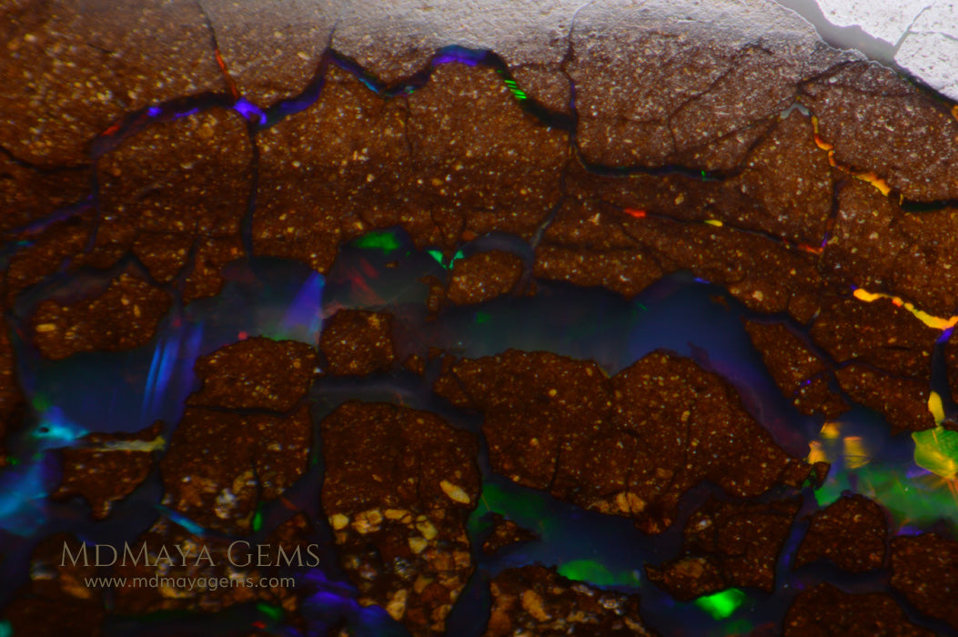 Australian Solid Matrix Boulder Opal 3.06 ct under microscope