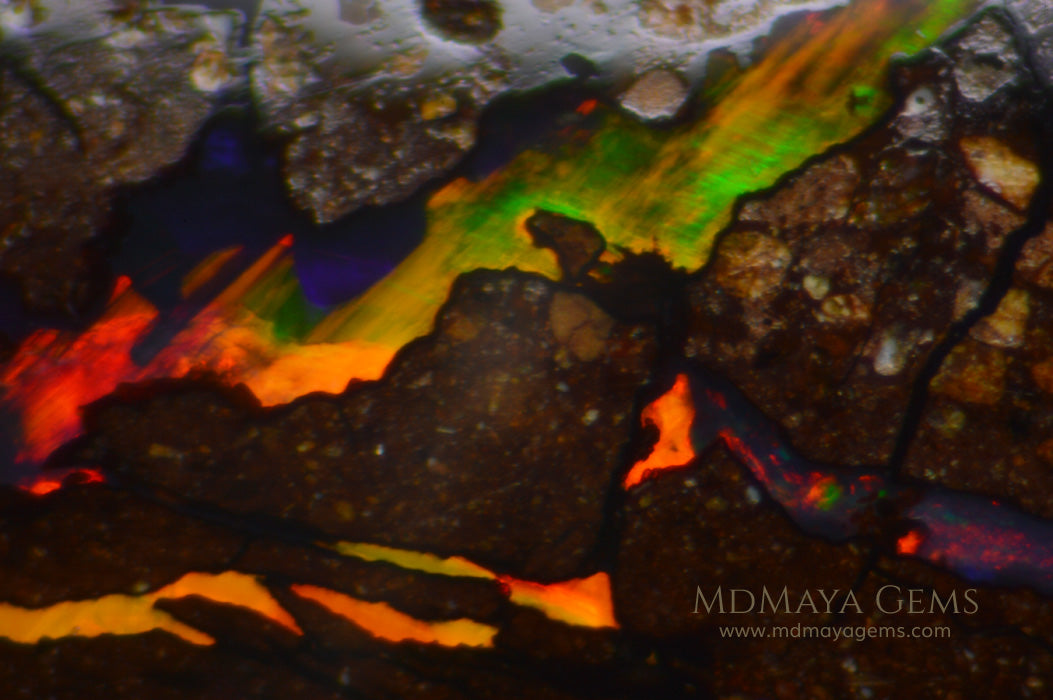 Australian Solid Matrix Boulder Opal 3.06 ct under microscope