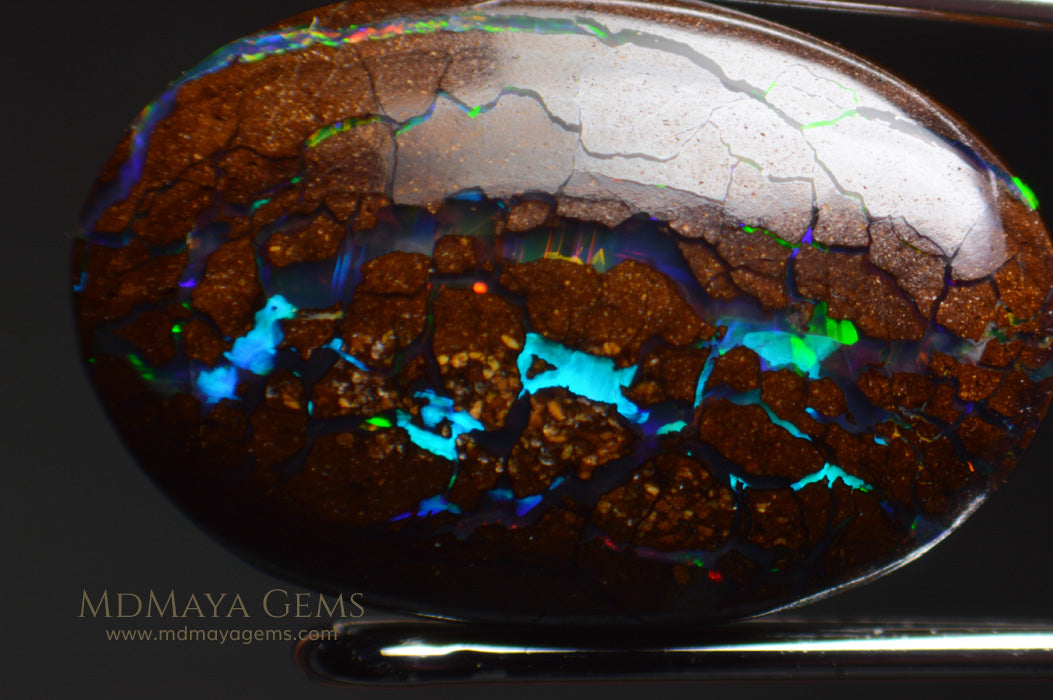 Australian Solid Matrix Boulder Opal 3.06 ct under microscope