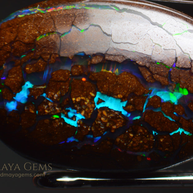 Australian Solid Matrix Boulder Opal 3.06 ct under microscope