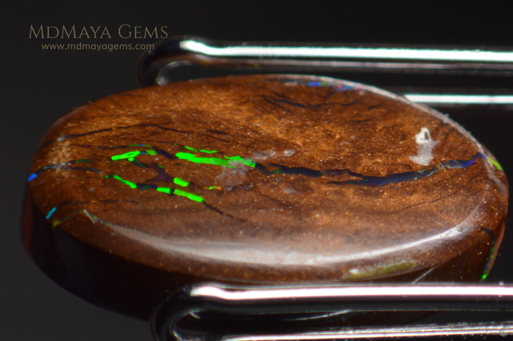 Australian Solid Matrix Boulder Opal 3.06 ct under microscope