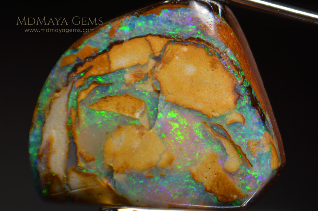 Colorful Australian Boulder Opal 6.13 ct under microscope