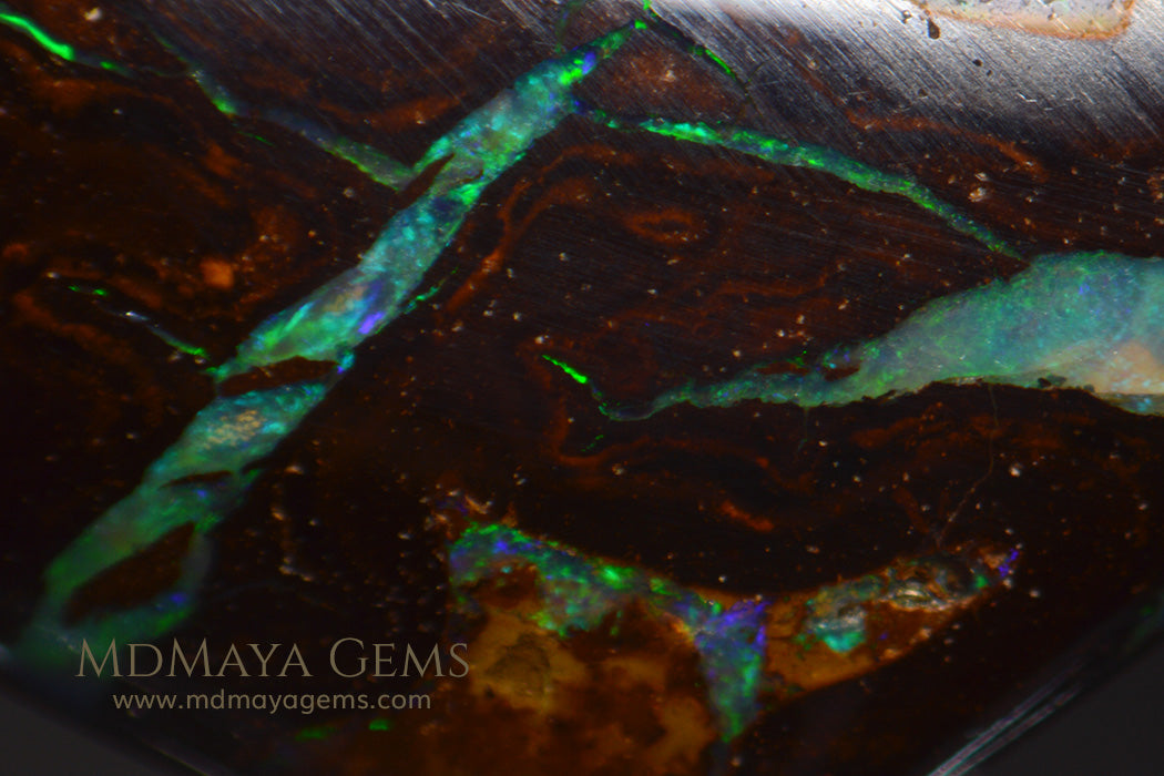 Yowah Boulder Opal 6.65 ct from Australia under microscope
