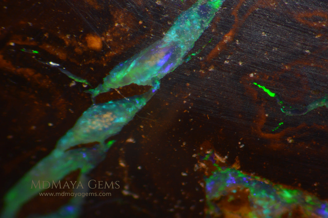 Yowah Boulder Opal 6.65 ct from Australia under microscope