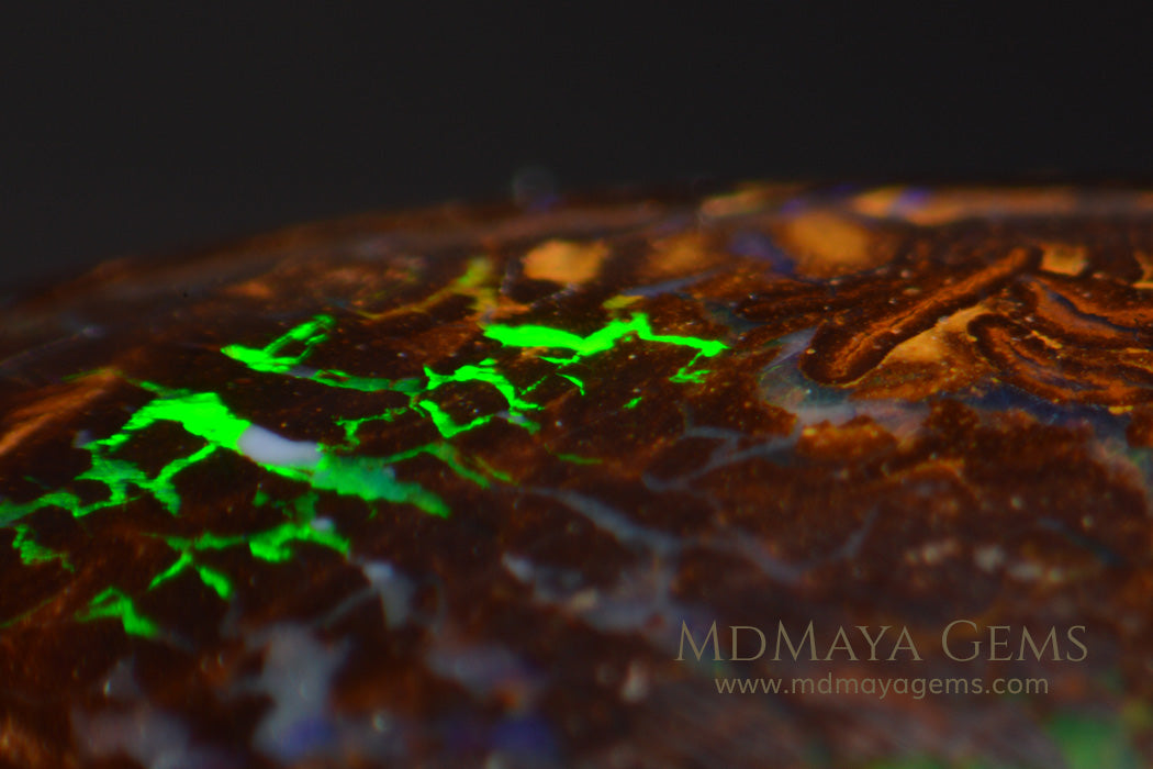 Natural Solid Matrix Boulder Opal 9.76 ct under microscope