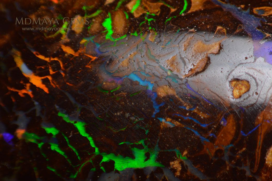 Natural Solid Matrix Boulder Opal 9.76 ct under microscope