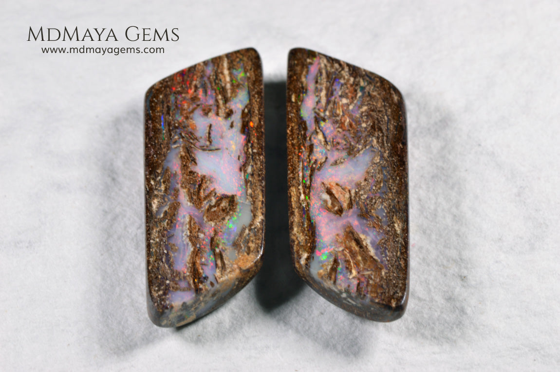 Boulder Wood Fossil Opal pair from Australia 20.92 ct