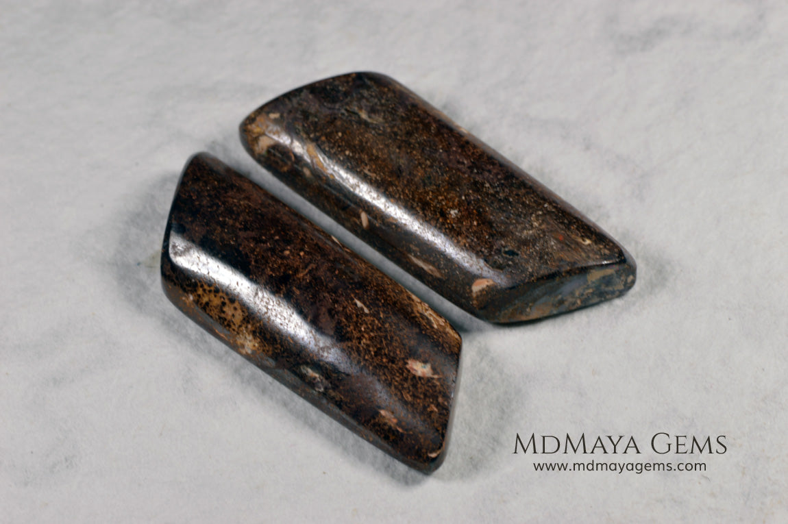 Boulder Wood Fossil Opal pair from Australia 20.92 ct