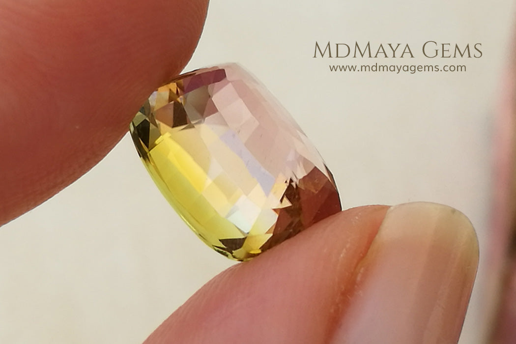 Bi Color Tourmaline from Mozambique with Golden tones and soft Pink touches