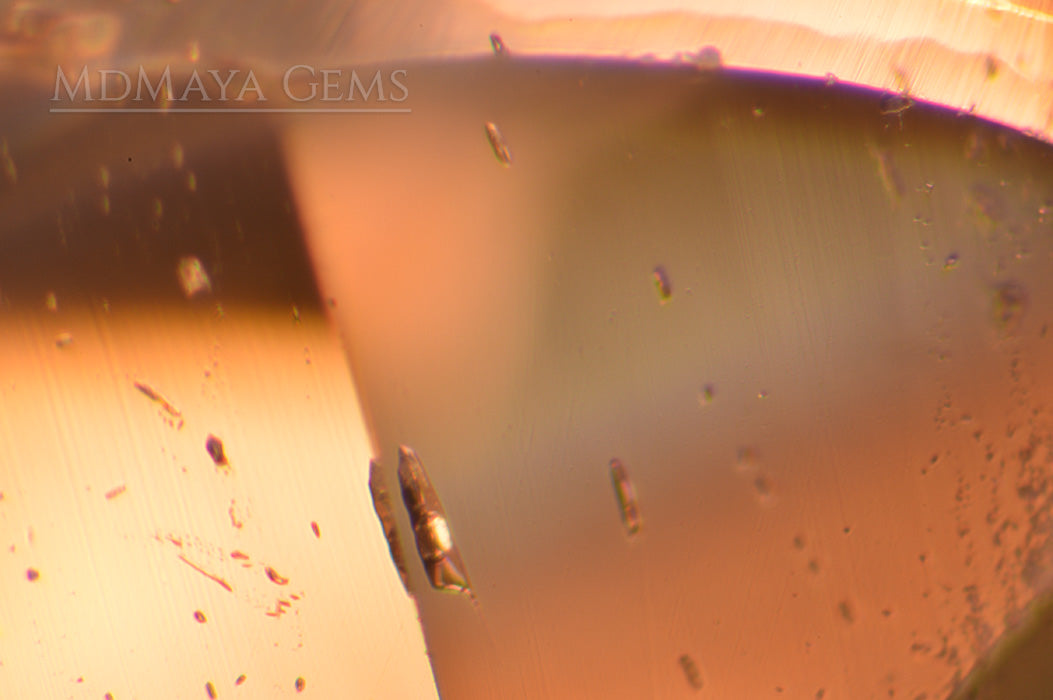 Two-Phase inclusions in Sparkling Light Brown Topaz 22.35 ct 