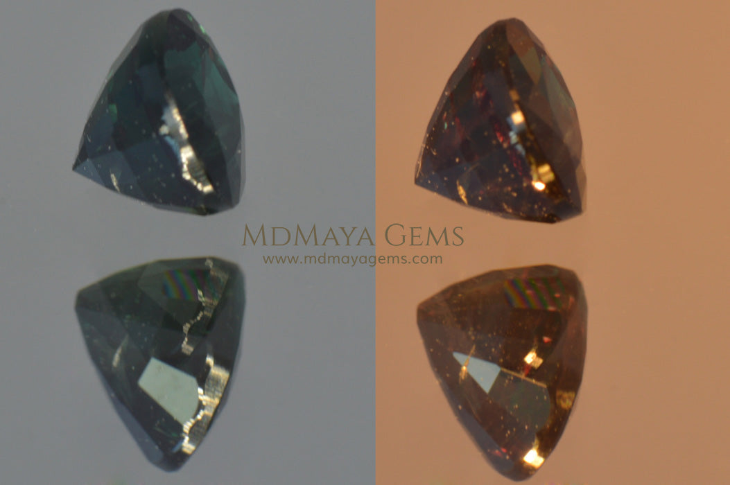 Rare Change Color Garnet Oval Cut 0.63 ct