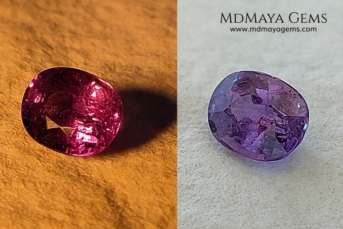  Change Color Sapphire, Oval Cut 1.38 ct. This amazing gemstone is violet in daylight and purple under incandescent light. Its color is very bright and vivid, it will look very interesting in any piece of jewelry, and the best, the price.