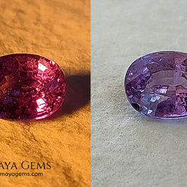  Change Color Sapphire, Oval Cut 1.38 ct. This amazing gemstone is violet in daylight and purple under incandescent light. Its color is very bright and vivid, it will look very interesting in any piece of jewelry, and the best, the price.
