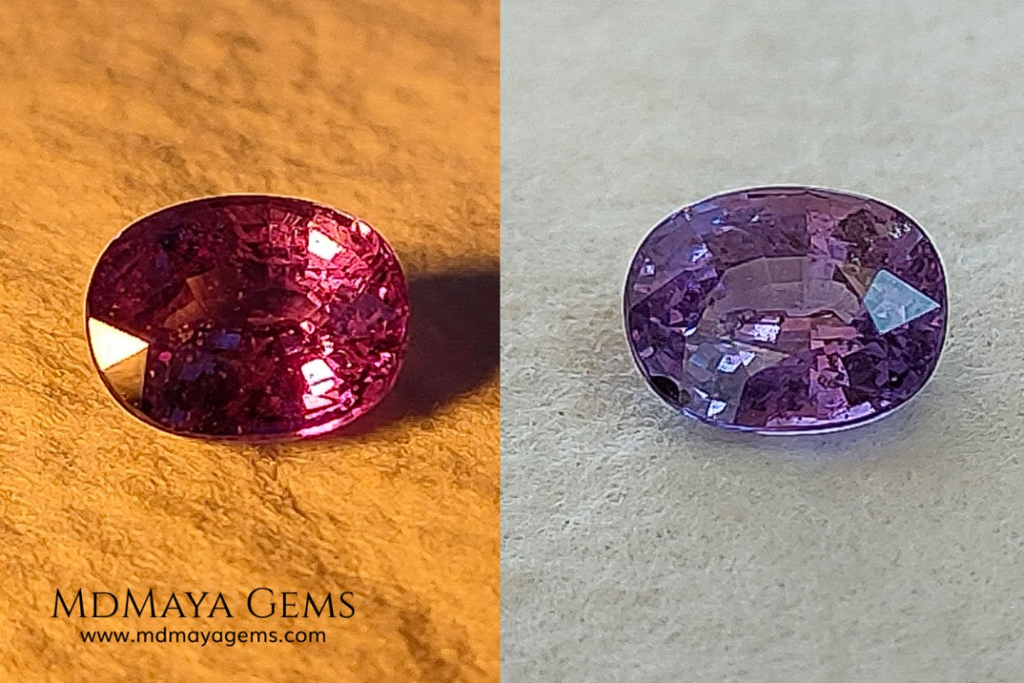  Change Color Sapphire, Oval Cut 1.38 ct. This amazing gemstone is violet in daylight and purple under incandescent light. Its color is very bright and vivid, it will look very interesting in any piece of jewelry, and the best, the price.