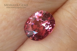 Rich Lotus Blossom Pink Spinel from Burma Oval Cut 1.70 ct