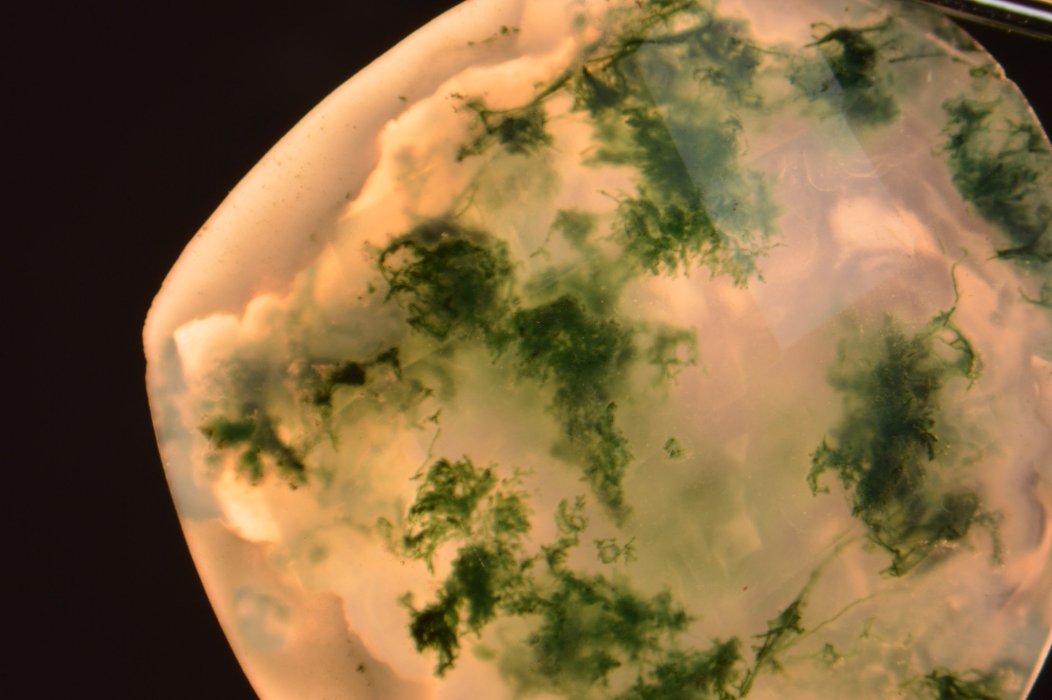 inclusion in dendritic moss agate