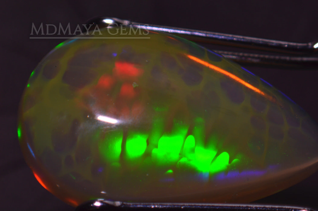 Ethiopian Opal with a rare python pattern 2.08 ct under microscope