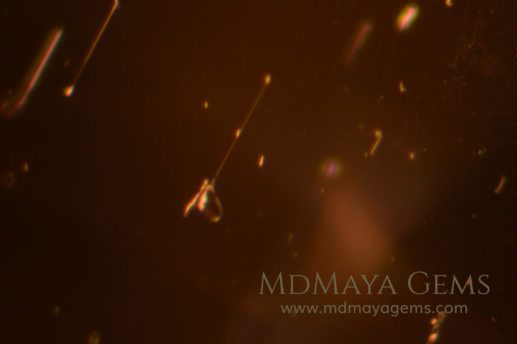 Inclusions in Bicolor Tourmaline from Mozambique 