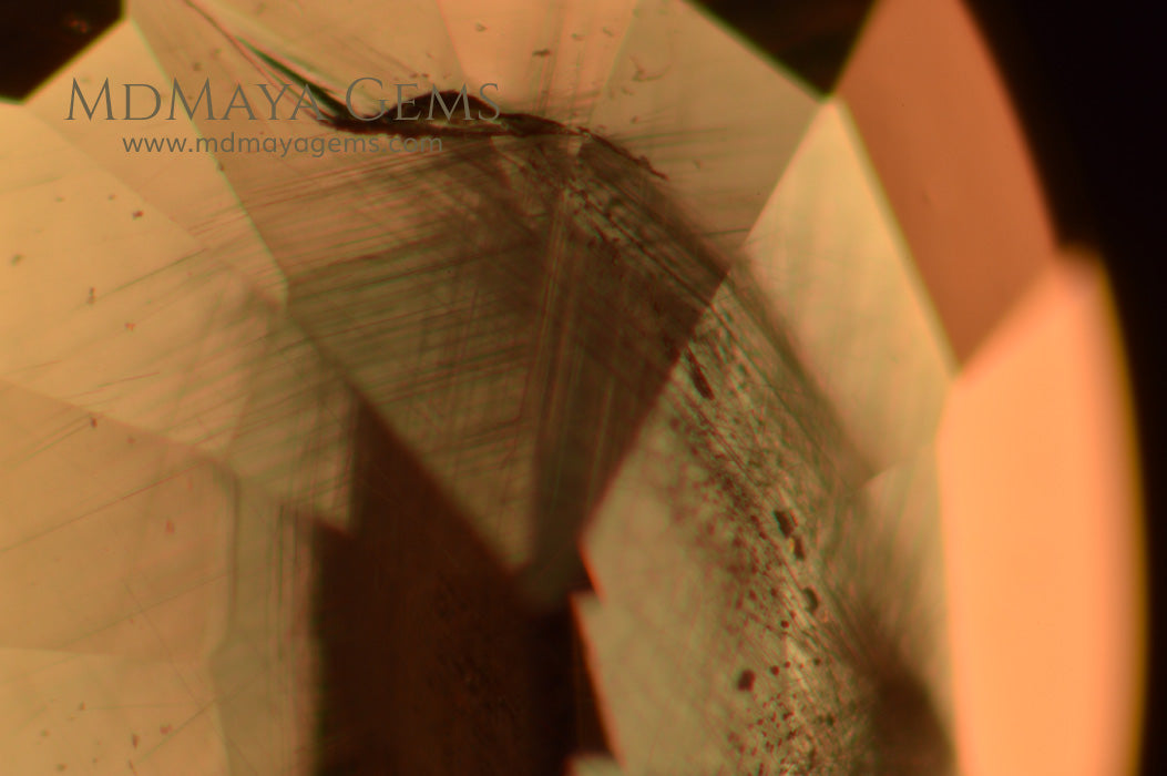 Inclusions in Rare Change Color Garnet Oval Cut 0.63 ct