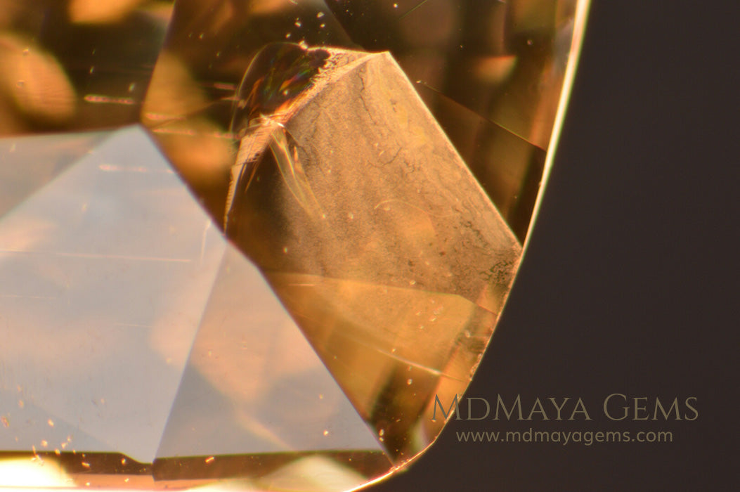 Inclusions in untreated Light Yellow Heliodor Golden Beryl Cushion Cut 4.79 ct