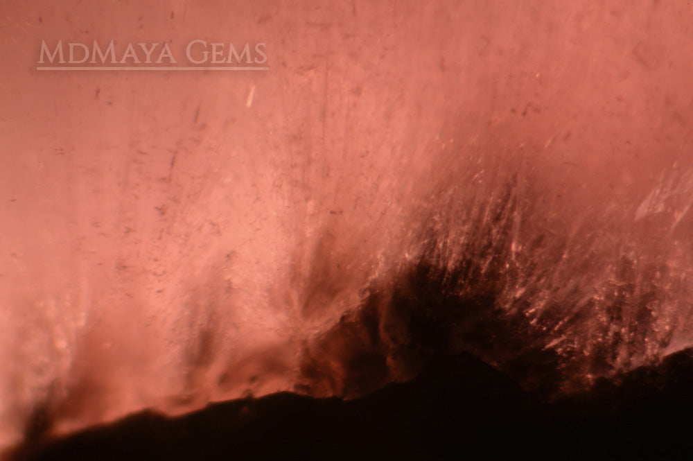 Inclusions in Burmese Gemstone Mushroom Tourmalines 13.59 ct