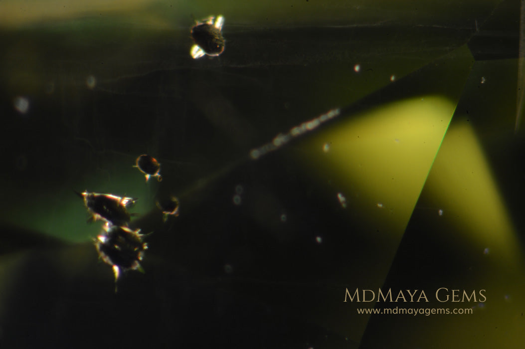 Inclusions in Genuine Green Peridot Gems Trillion Cut 6.50 ct pair