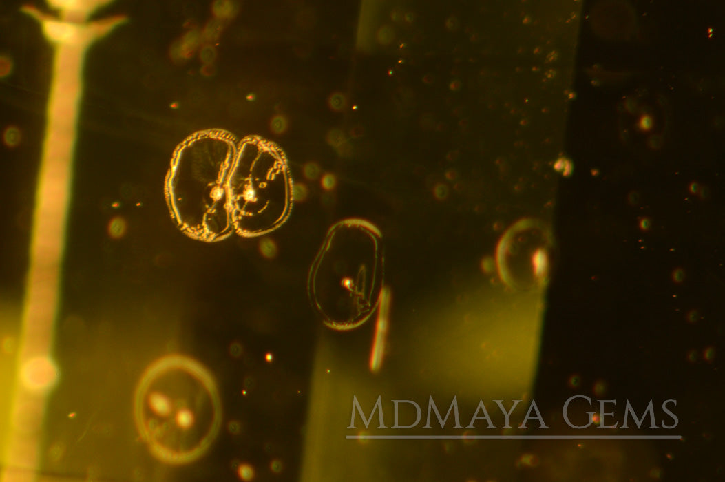 inclusions in Natural Green Peridot Fancy Cut 2.28 ct