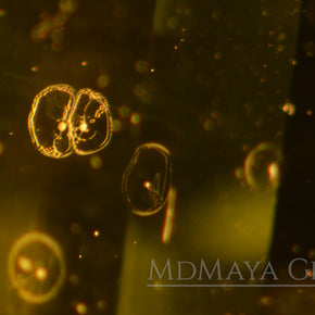 inclusions in Natural Green Peridot Fancy Cut 2.28 ct